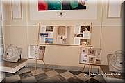 IMG_8334.jpg