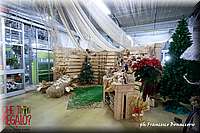 IMG_5183.JPG