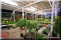 IMG_5205.JPG