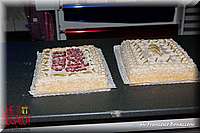 IMG_5355.JPG