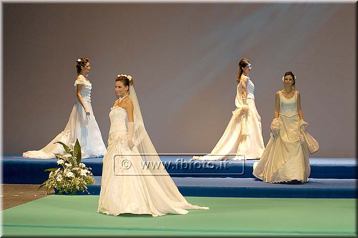 DSC_7319.JPG