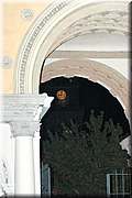 DSC_1786.JPG