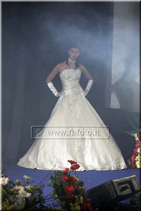 HSIJ20122.jpg