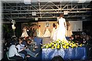 IMG_4996.JPG