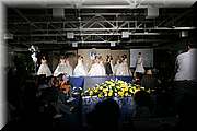 IMG_4927.JPG