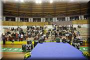 _MG_3041.JPG