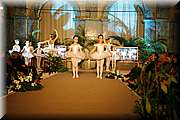 _MG_6892.jpg
