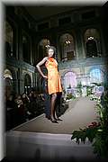 _MG_7017.jpg