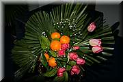 IMG_9042.jpg