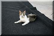 _MG_7606.jpg