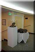 IMG_1307.jpg