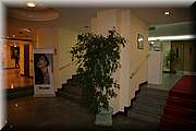 IMG_1312.jpg