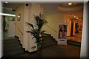 IMG_1315.jpg