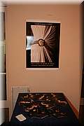 IMG_0669.jpg