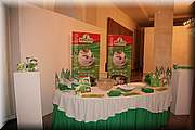 IMG_0671.jpg