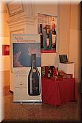 IMG_0676.jpg
