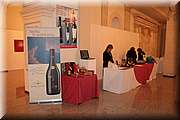 IMG_0677.jpg