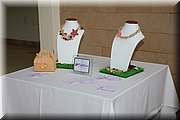 IMG_8742.jpg
