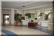IMG_8762.jpg