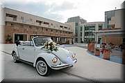 IMG_8804.jpg