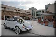 IMG_8806.jpg