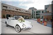 IMG_8807.jpg