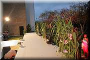 IMG_8831.jpg