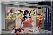 IMG_5904.jpg