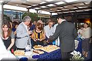 IMG_2646.jpg
