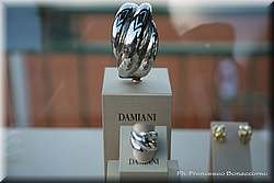 IMG_2427.jpg