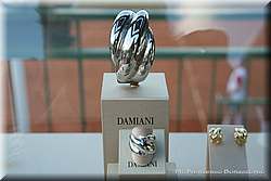 IMG_2428.jpg
