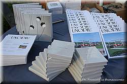 IMG_2435.jpg
