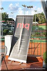 IMG_2439.jpg