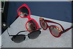 IMG_2456.jpg