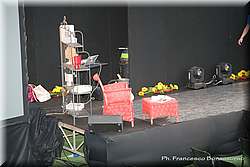 IMG_2495.jpg