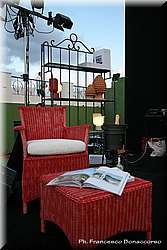 IMG_2496.jpg