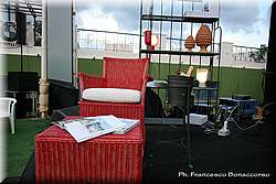 IMG_2498.jpg