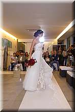 FB4_8438.jpg