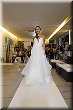 FB4_8464.jpg