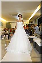 FB4_8564.jpg