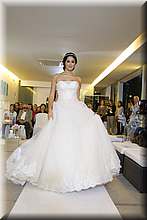 FB4_8574.jpg