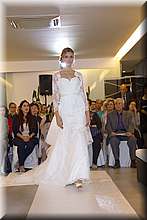 FB4_8649.jpg