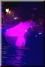 FB4_8789.jpg