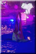 FB4_8807.jpg