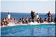 IMG_9405.JPG