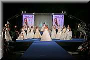 IMG_6208.jpg