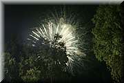 IMG_3965.jpg