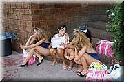 IMG_4553.jpg