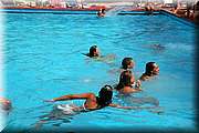 IMG_4556.jpg