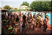 IMG_4569.jpg